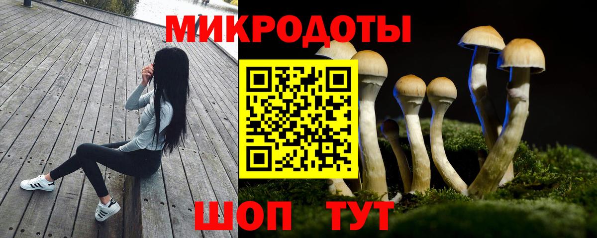 купить наркотики цена  Галлюциногенные грибы Cubensis  Галлюциногенные грибы ЛСД  Вход с VPN  Кунгур 
