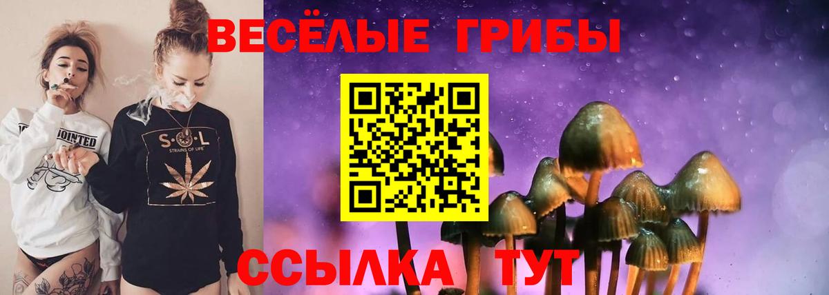 Галлюциногенные грибы прущие грибы Кунгур